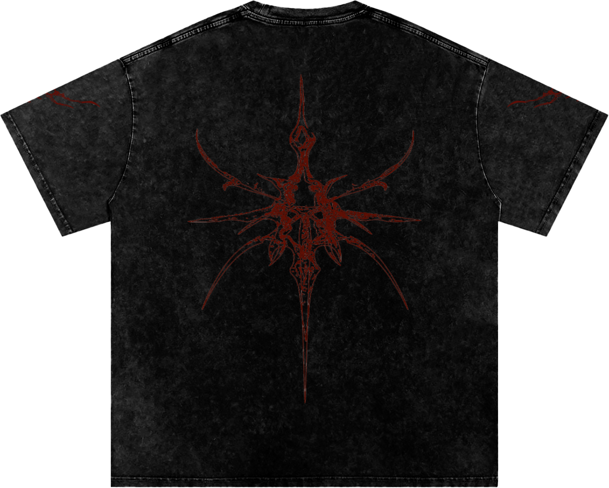 shiny chxr [washed tee]
